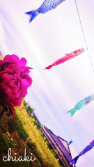 deco