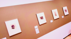 deco