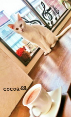 deco