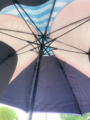 deco