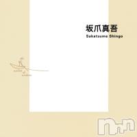 『性風俗シングルマザー 地方都市における女性と子どもの貧困』 (集英社新書)発売！