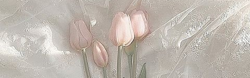 㡦ȯĥꥢ󥺥 MYIRO-ޥ- ꤫Ρ֤꤫Υ֥