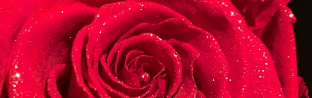 九条柚凪のブログ Lit Club リットクラブ 新潟駅前 キャバクラ クラブ 新潟ナイトナビ ナイト