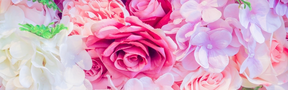 㡦ȯĥꥢ󥺥 ޤơ ֡Ρְ֡Υ֥