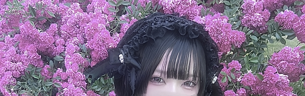 ĮåȥС ᥤɥեLINK 줤Ρ֤줤Υ֥