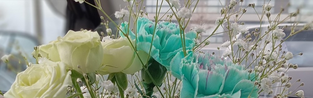 ĮåȥС ᥤɥեLINK 󤸤Ρ֤ͤ