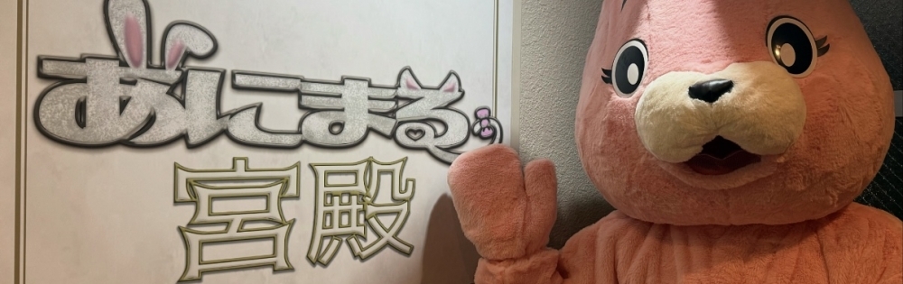 ʥå륺С 󥻥ץȥե ˤޤ ӤΡ֥ӤΥ֥