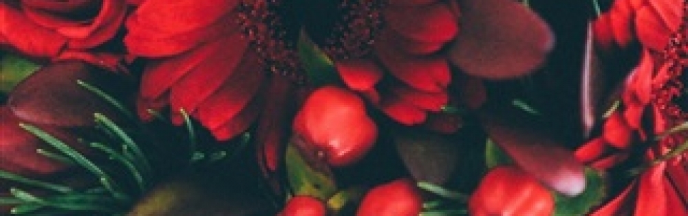 ��ˬ�ԥ���Х��顦����� ����� �ץ���� ��ˬ ����� �椭�Ρ������ �椭�Υ֥�����