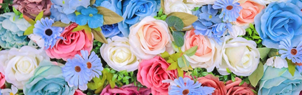 㡦ȯĥꥢ󥺥 ޤơ ʤʤΡʤʤΥ֥