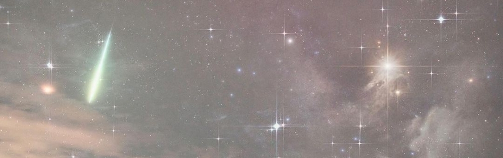 ��ë�ԥ���Х��顦����� CLUB��Paladin �����ǤΡ֤����ǤΥ֥�����