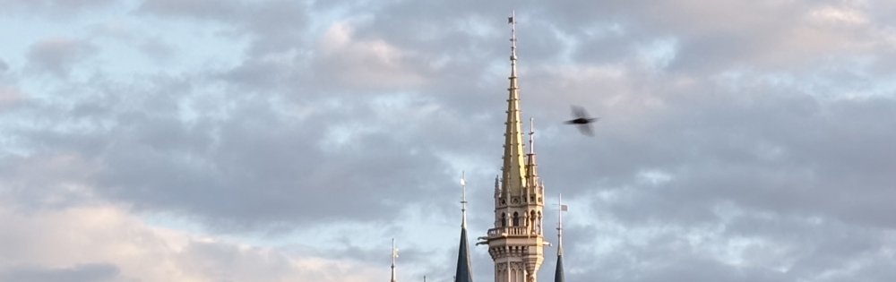 Ʋʥå륺С LOUNGE ICHI  ĻͷդΡ֤ʤǤ