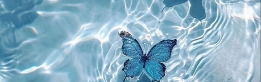 ĮХ顦 salon do Ρ֥Υ֥