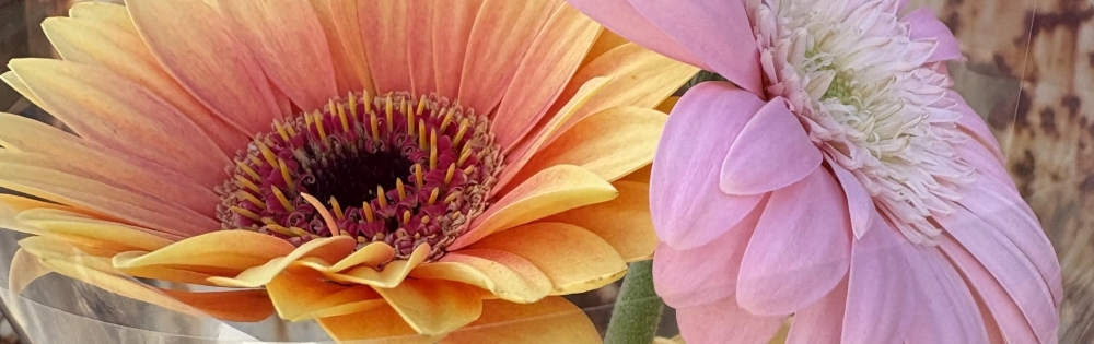 ʥå륺С ʥåܤ 餤Ρ֤֡