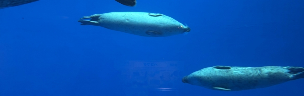 Įʥå륺С girls&matching bar parler. 쥤Ρ֥쥤Τޤˤ