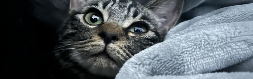 ĮХ顦 lounge  Remika ޤʤΡ֤ޤʤΥ֥