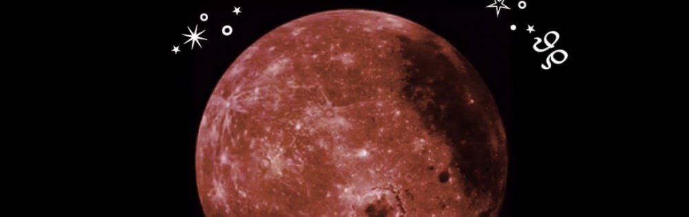 Įʥå륺С concept bar Citron Ρ֤ߤʤΤ