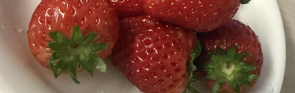 ����������ʥå��������륺�С� Girls Bar Philia ���������Ρ֤��������Υ֥�����