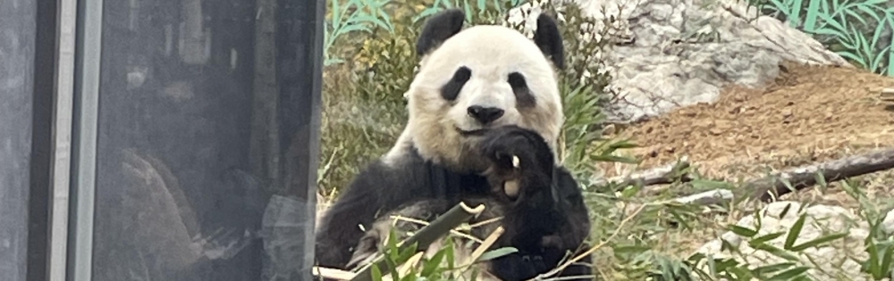 �����������Х��顦����� CLUB ALBATROSS �ޤ��Ρ֤��̤Ѥ�ͤ�����   �˥��^_^��