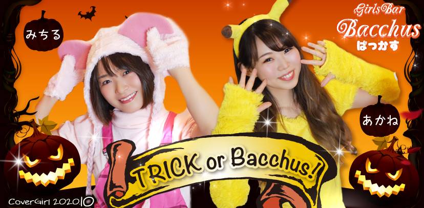 2020ǯ10ΥС ʥå륺С Girls Bar BacchusŹ(Хåޥƥ) (),ߤ(30)