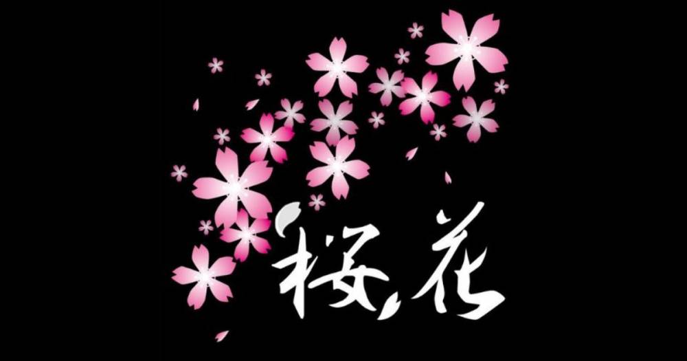 Ʋ
                                ʥå륺С
                                
                                ()ΤΤ餻