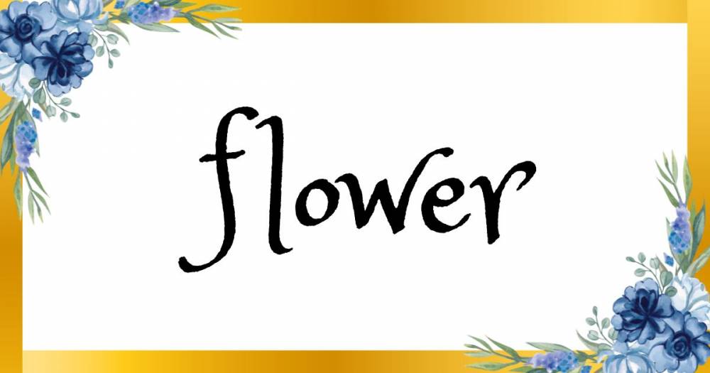 Į
                            ʥå륺С
                            flower
                            (ե)ΤΤ餻