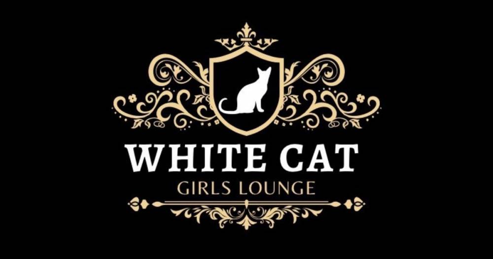 Į
                                Х顦
                                WHITE CAT
                                (ۥ磻ȥå)ΤΤ餻
