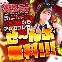新潟ソープ 新潟バニーコレクション(ニイガタバニーコレクション)