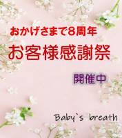 新潟メンズエステ baby's breath(ベイビーズブレス)