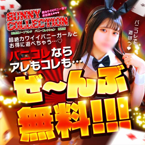 新潟バニーコレクション