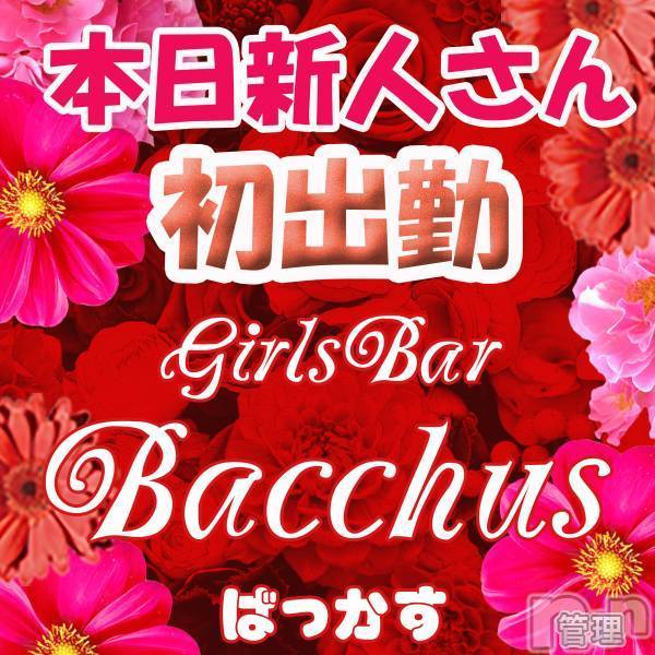 ʥå륺С Girls Bar BacchusŹ