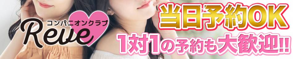 Ĺ襳ѥ˥󥯥 ѥ˥󥯥Reve-졼-(ѥ˥󥯥֥졼)