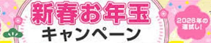 Las Vegas(ラスベガス) 新潟市/デリヘル