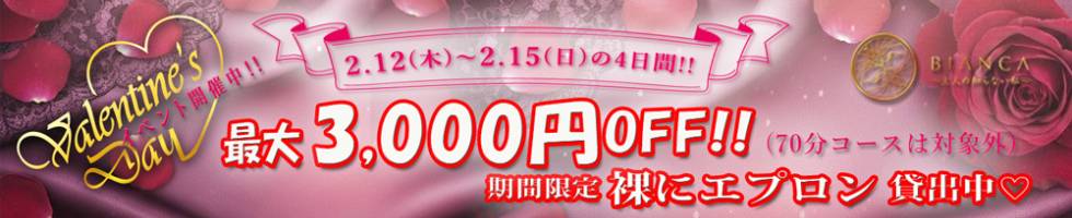 BIANCA～主人の知らない私～新潟店(ビアンカニイガタテン) 新潟市/デリヘル