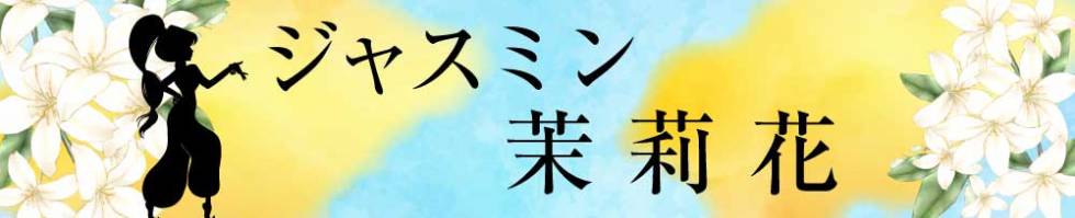 ジャスミン(ジャスミン) 新潟市/デリヘル