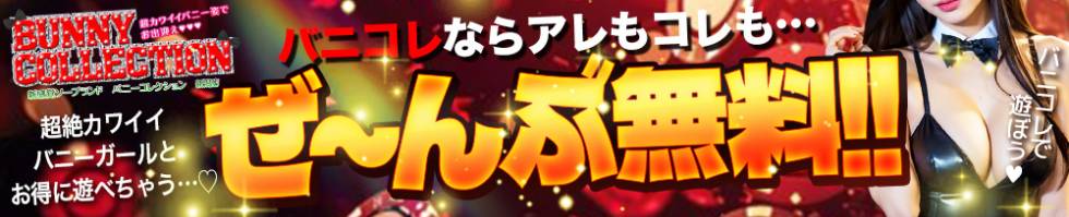 新潟バニーコレクション(ニイガタバニーコレクション) 新潟市/ソープ