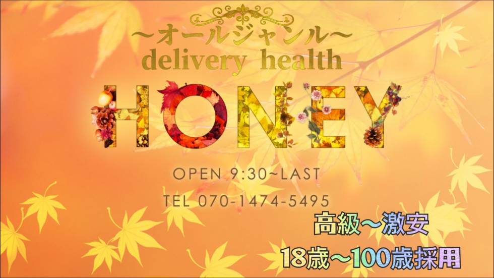 HONEY(ハニー) 上越市/デリヘル