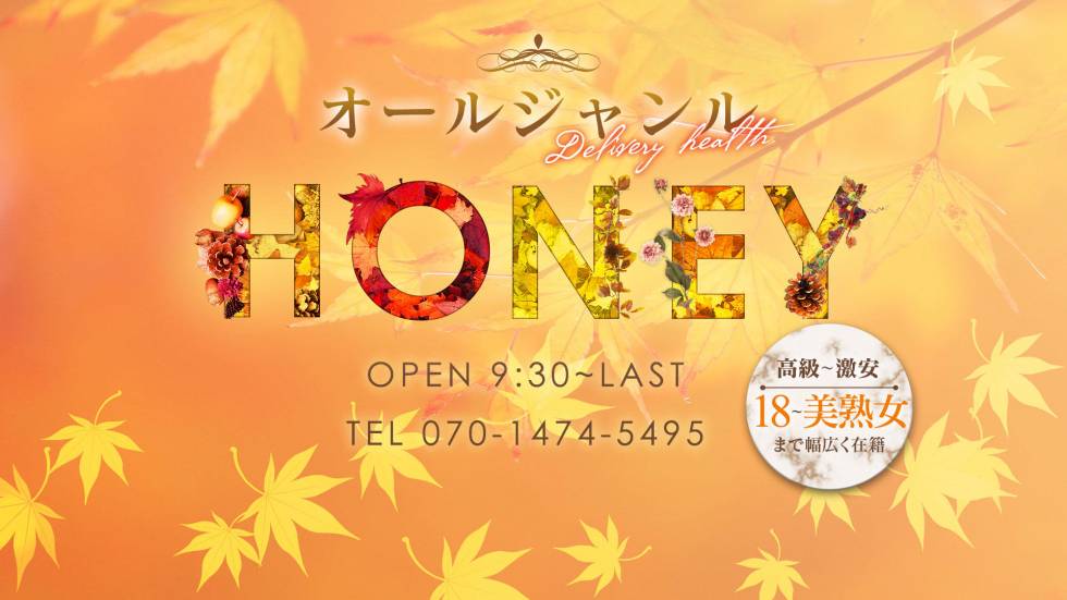 HONEY(ハニー) 上越市/デリヘル