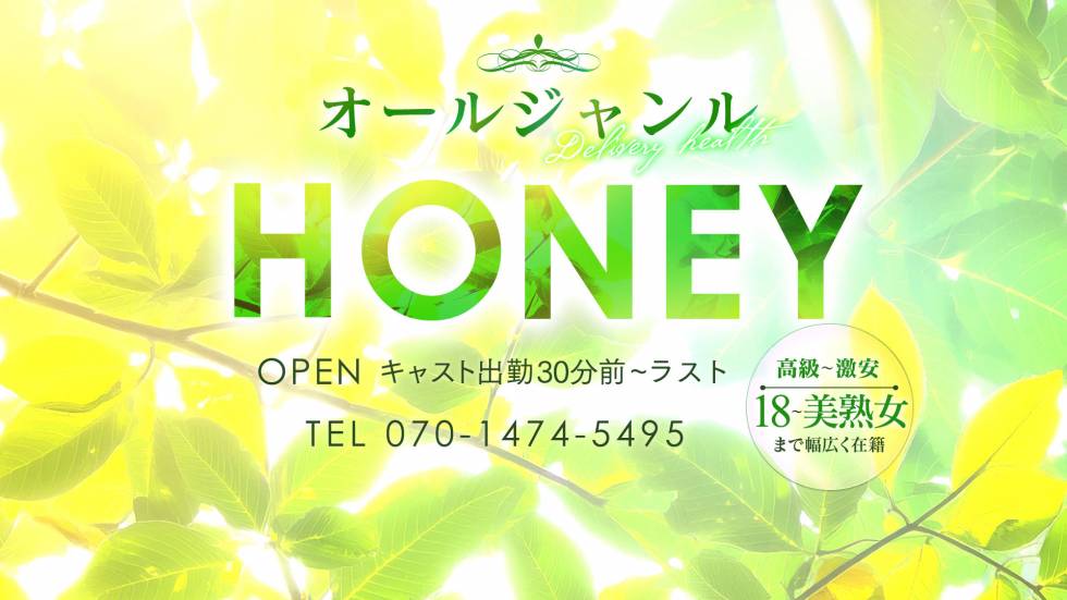 HONEY(ハニー) 上越市/デリヘル