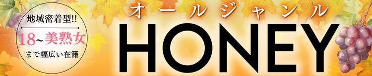 HONEY(ハニー) 上越市/デリヘル