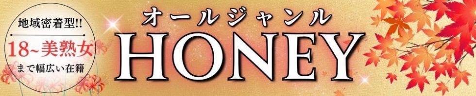 HONEY(ハニー) 上越市/デリヘル