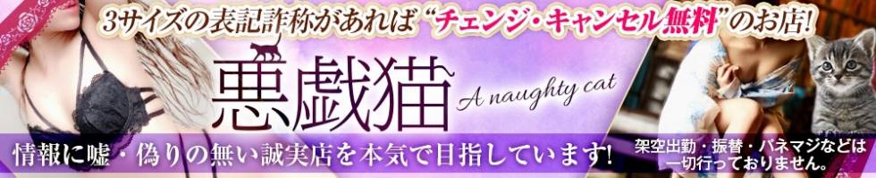 A naughty cat 悪戯猫(イタズラネコ) 新潟市/デリヘル