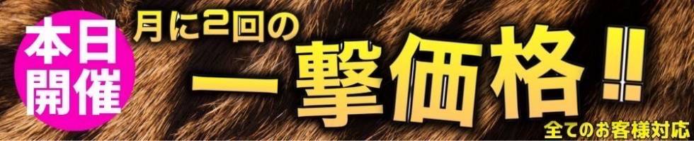 MYIRO　-マイロ-(マイロ) 新潟市/メンズエステ