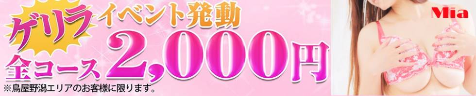 デリヘル新潟(デリヘルニイガタ) 新潟市/デリヘル