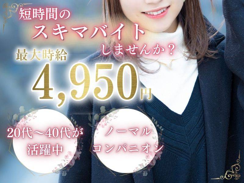 ハイクラスコンパ　プレジール 求人バナー