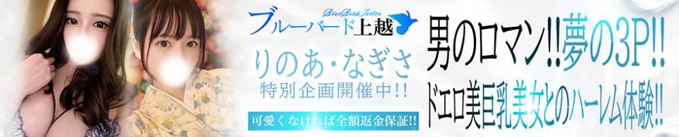 BLUE BIRD上越店(ブルーバード上越店) 上越市/デリヘル