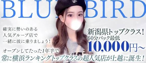 BLUE BIRD上越店 求人バナー