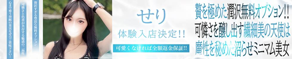 BLUE BIRD上越店(ブルーバード上越店) 上越市/デリヘル