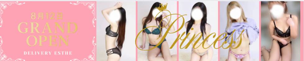 princess(プリンセス) 新潟市/風俗エステ
