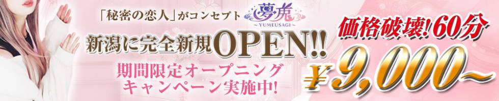夢兎～YUMEUSAGI～(ユメウサギ) 新潟市/デリヘル