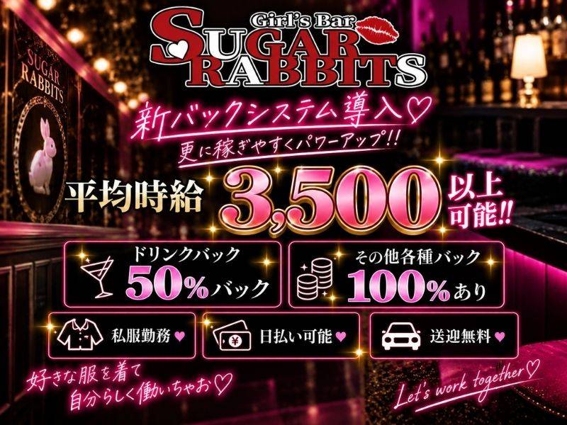Sugar Rabbits 求人バナー